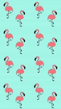 1080p Flamingo Wallpaper 2