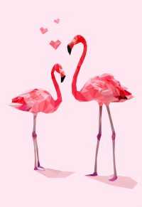 Pink Flamingo Wallpaper 33