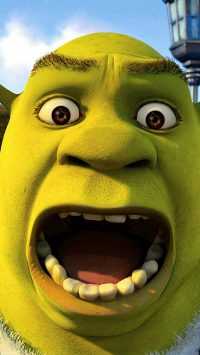 Phone Shrek Face Wallpaper 29