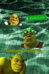 Iphone Shrek Wallpaper 28