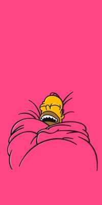 Homer Simpson Sleeping Wallpaper 2