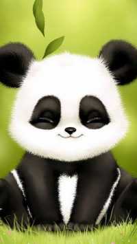 Uhd Cute Panda Wallpaper 32