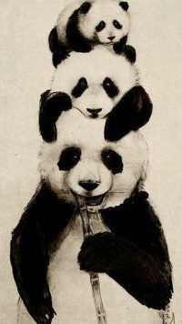 1080p Cute Panda Wallpaper 37