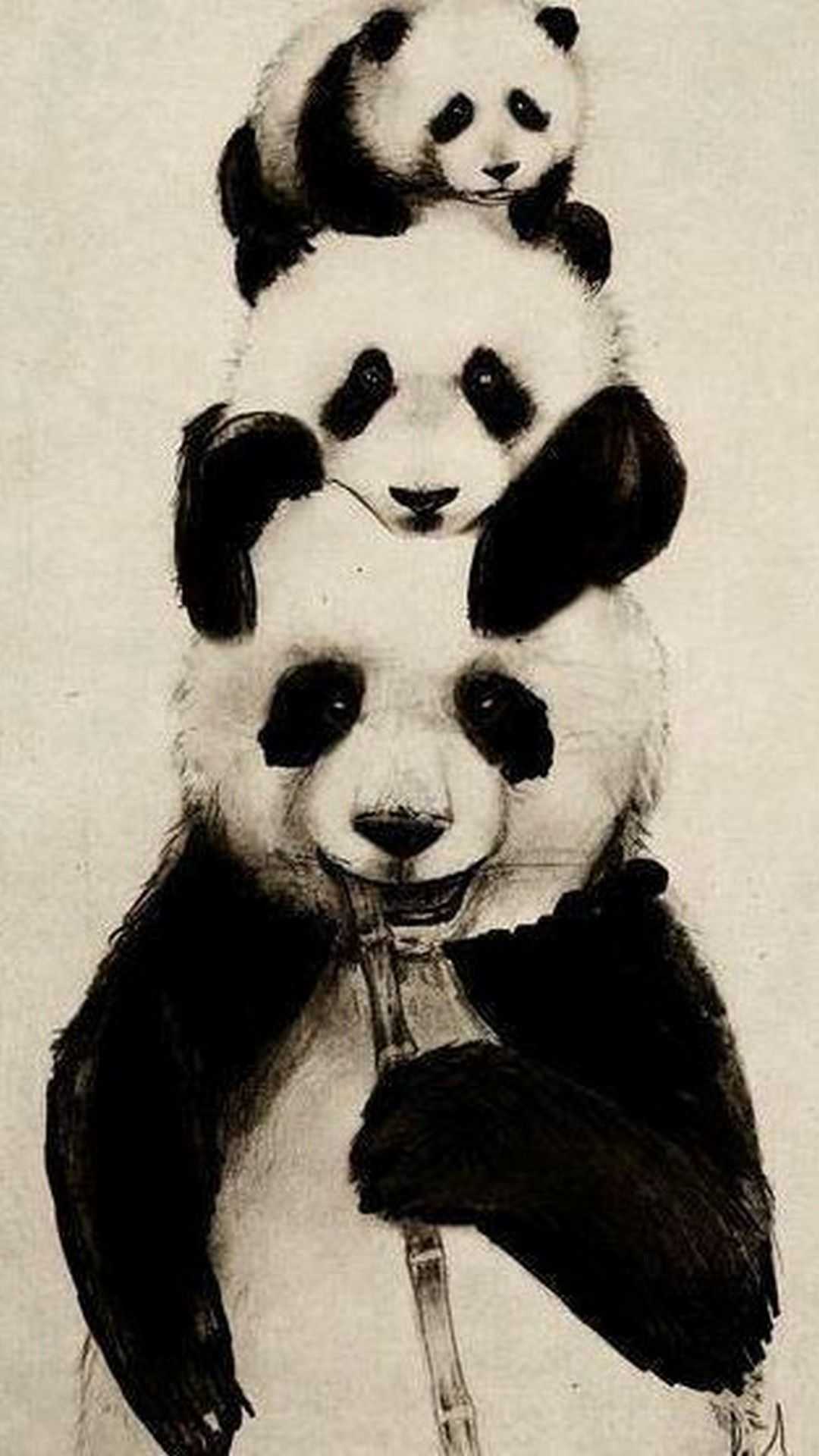 1080p Cute Panda Wallpaper 1