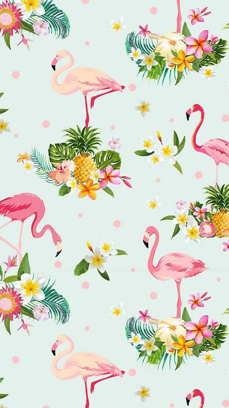 Phone Flamingo Wallpaper 1