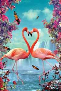 Love Flamingo Wallpaper 22