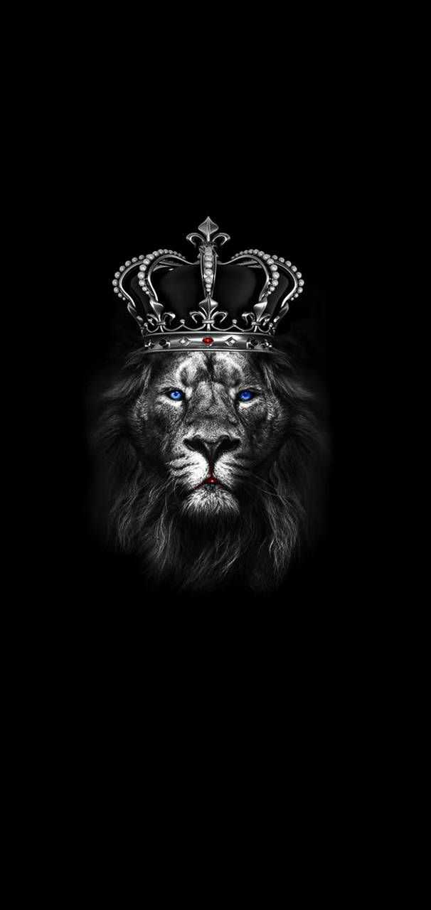 Lion King Wallpaper 1