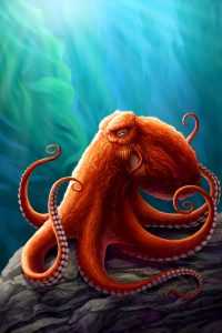 Hd Octopus Wallpaper 43