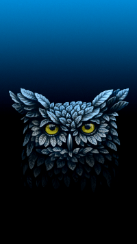 Dark Blue Owl Wallpaper 19