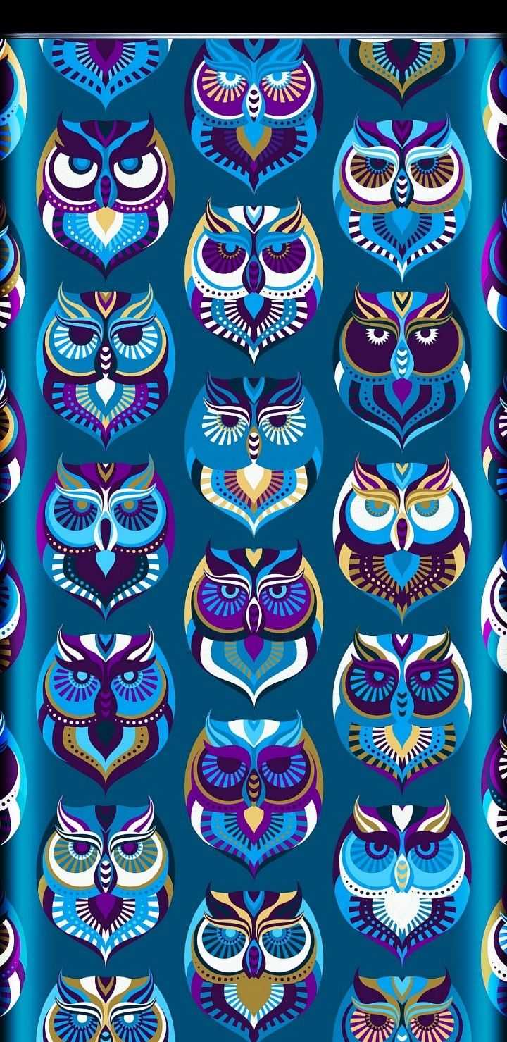 Phone Owl Wallpaper 1