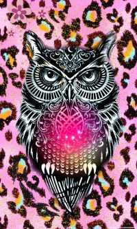 Preppy Owl Wallpaper 50