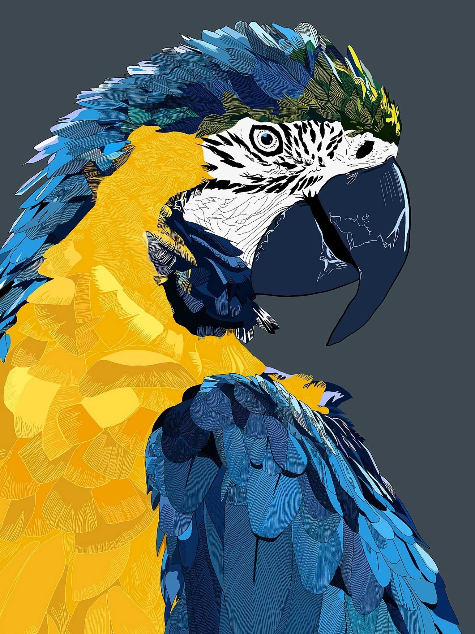 Art Parrot Wallpaper 1