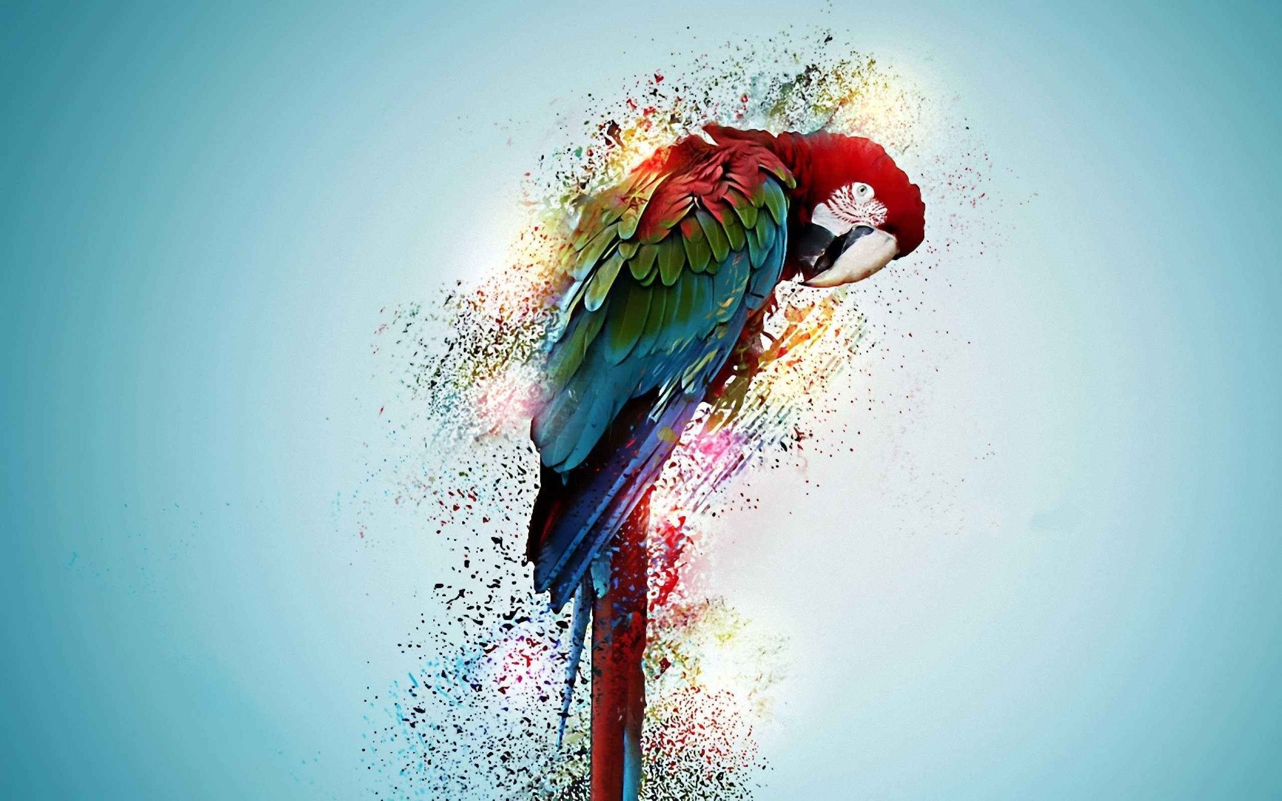Macbook Parrot Wallpaper 1