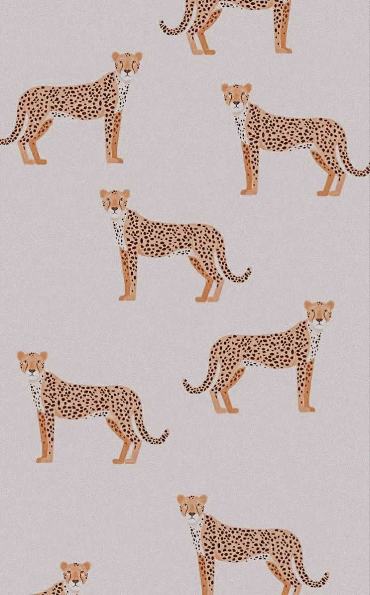Cheetah Preppy Aesthetic Wallpaper 1
