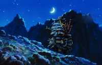 Moon Howl's Moving Castle Wallpaper 9