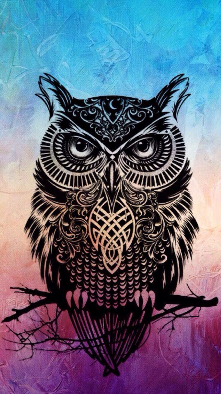 Phone Owl Wallpaper 1