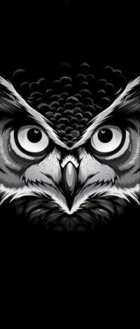 Black Owl Wallpaper 42