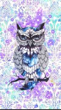 Owl Aesthetic Wallpaper 35