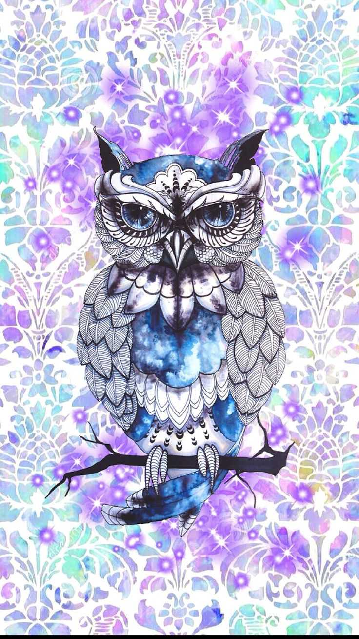 Owl Aesthetic Wallpaper 1