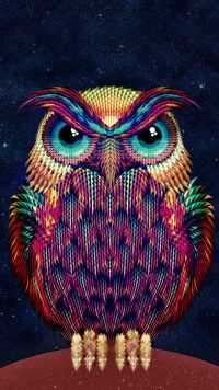 Ipad Owl Wallpaper 19