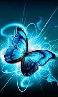 Uhd Blue Butterfly Wallpaper 8