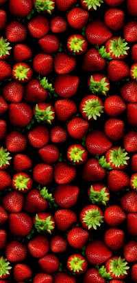 Iphone Strawberry Wallpaper 2