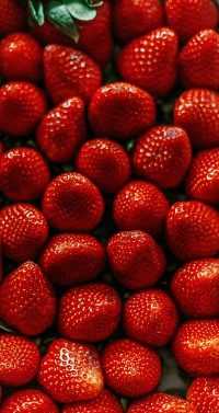 Android Strawberry Wallpaper 19