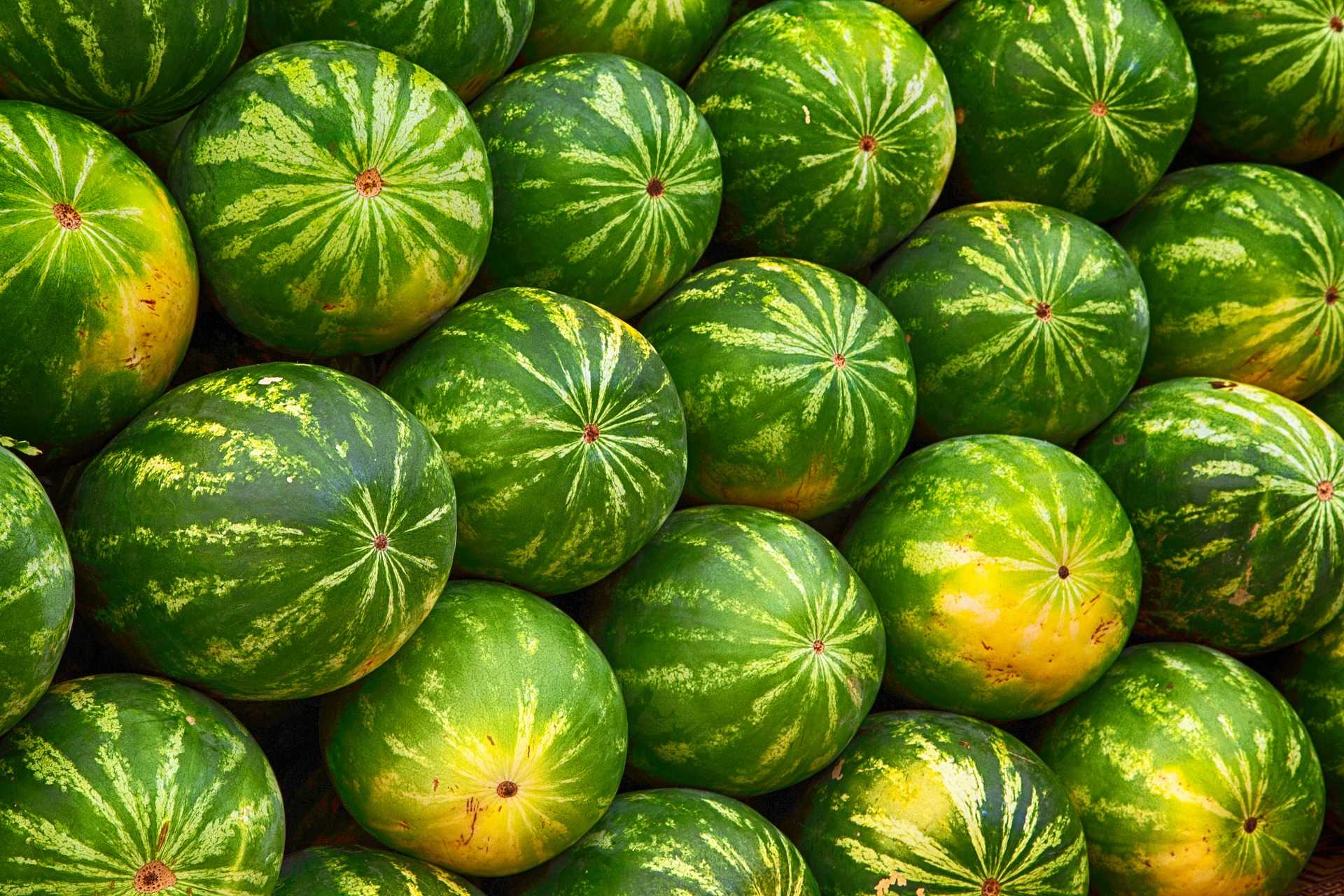 Computer Watermelon Wallpaper 1 Computer Watermelon Wallpaper 1