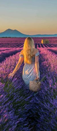 Lavender Wallpaper For Girl 17