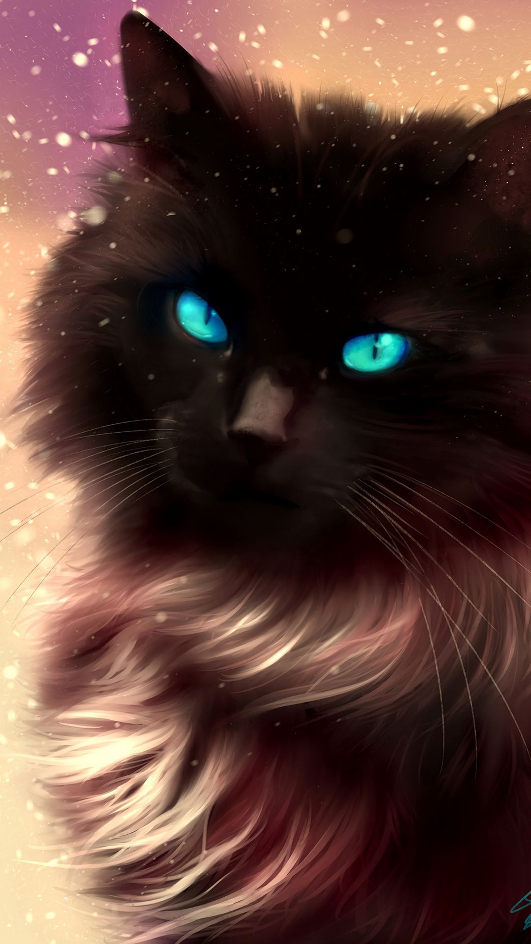 Phone Warrior Cats Wallpaper Wallpaper Sun