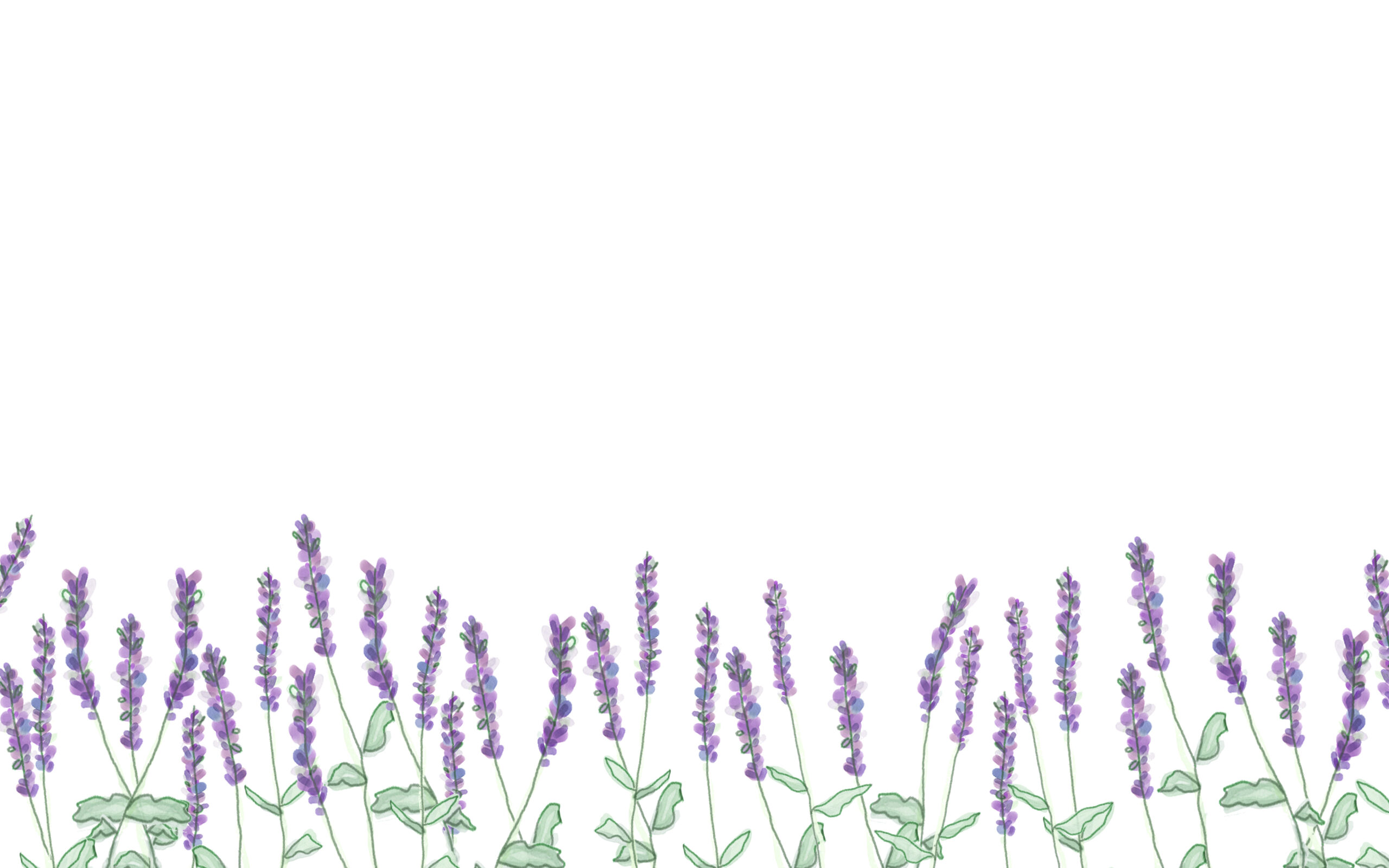 Desktop Lavender Wallpaper 1