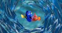 Pc Finding Nemo Wallpaper 11
