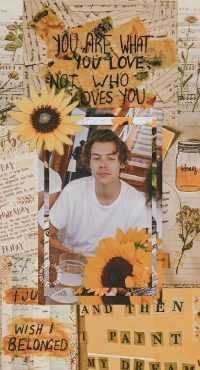 Harry Styles Aesthetic Wallpaper Sunflower 8