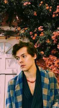Harry Styles Aesthetic Wallpaper Android 26