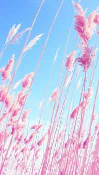 Aesthetic Pink And Blue Wallpaper 33