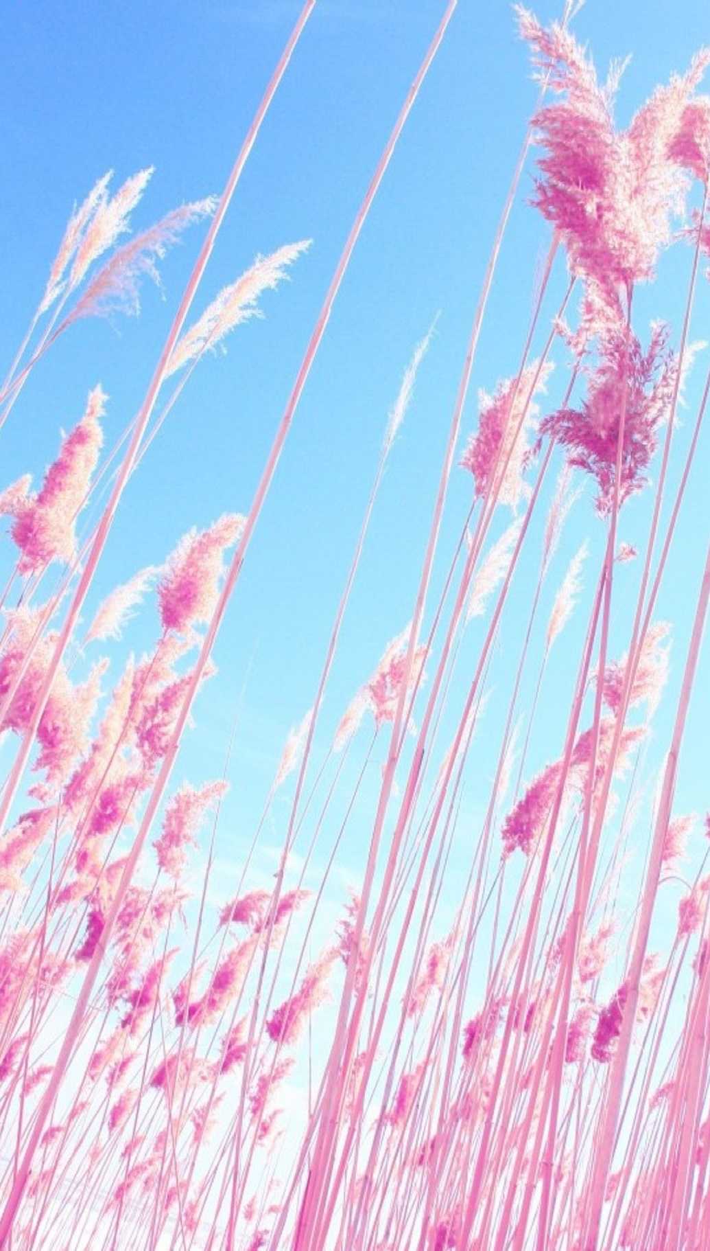 Aesthetic Pink And Blue Wallpaper 1