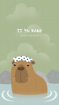 Phone Capybara Wallpaper 14