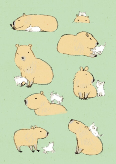 Download Capybara Wallpaper 1