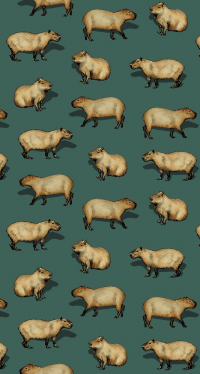 Mobile Capybara Wallpaper 17