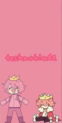 Download Technoblade Wallpaper 4