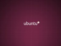 Ubuntu Wallpaper 8