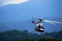 Forest Helicopter Wallpaper 18