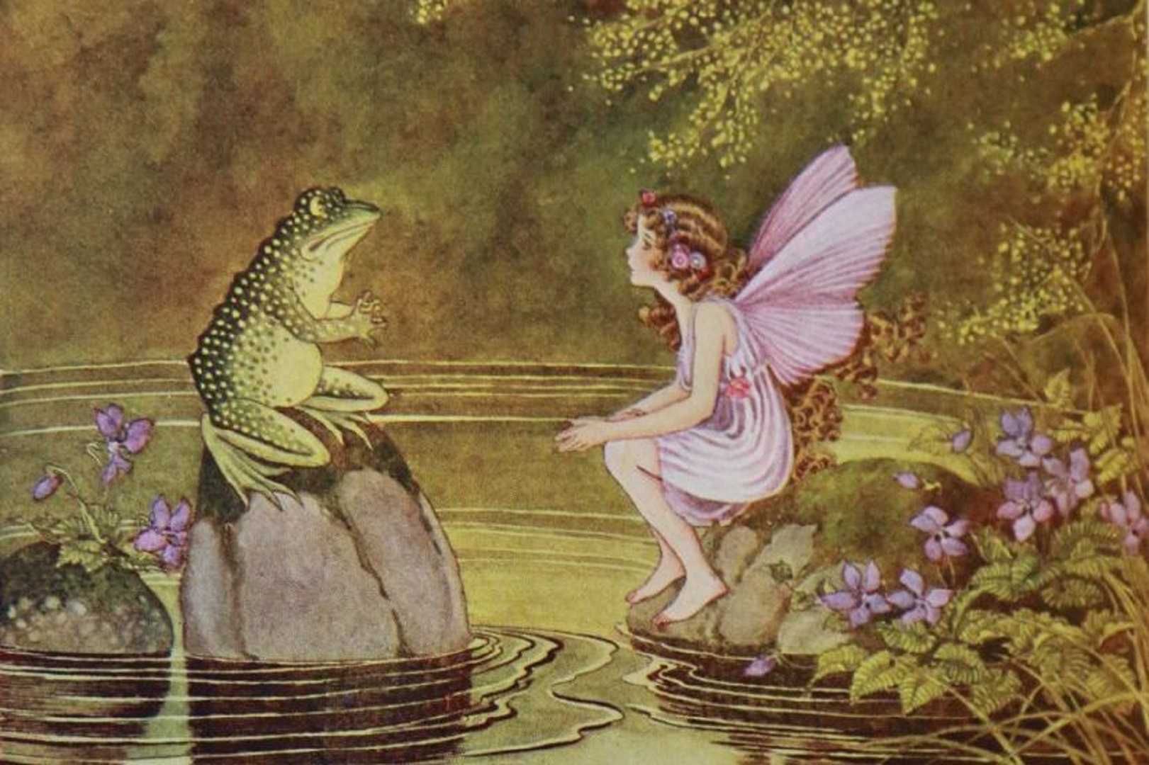 Frog Fairycore Wallpaper 1