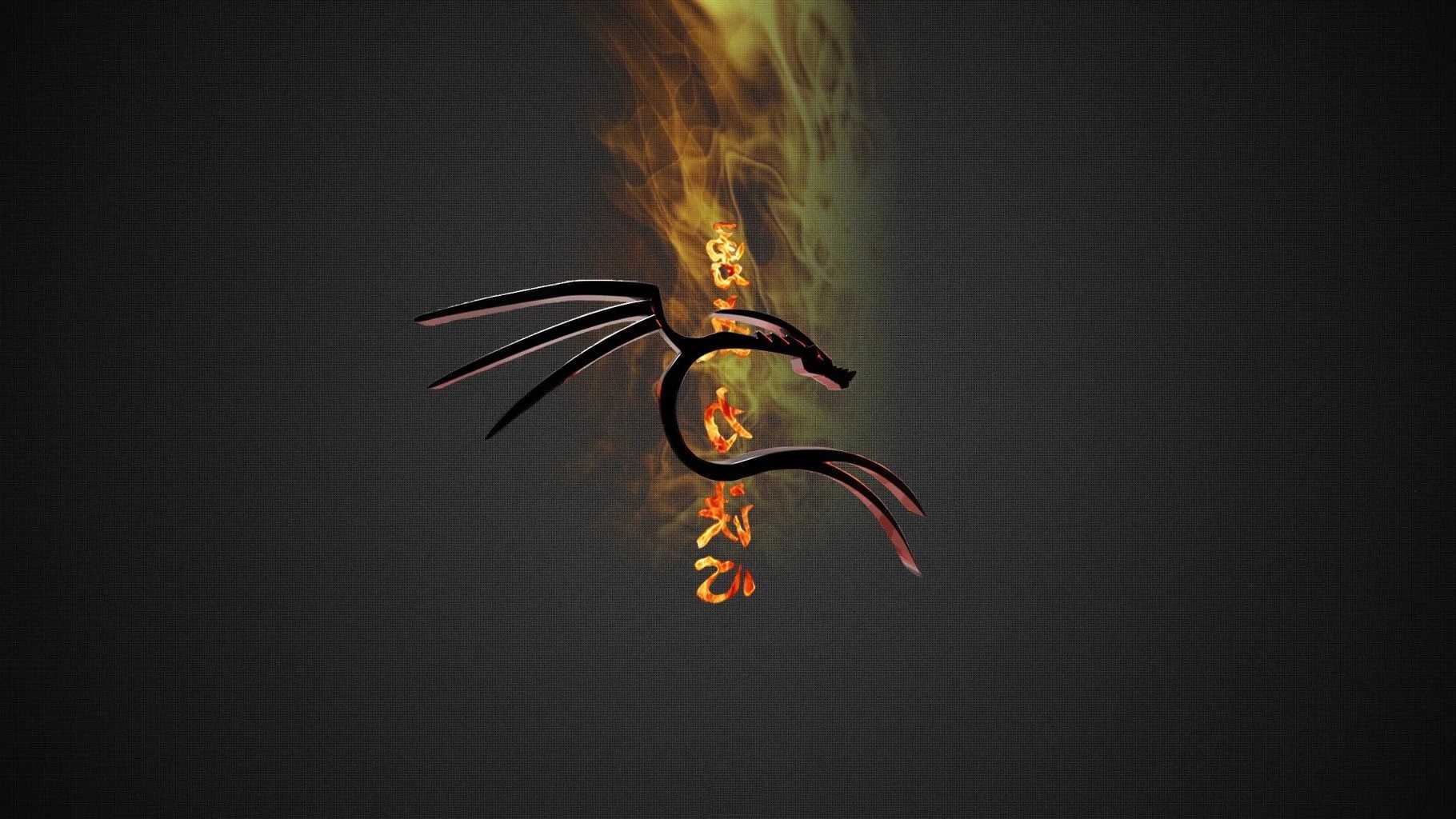 Fire Kali Linux Wallpaper 1