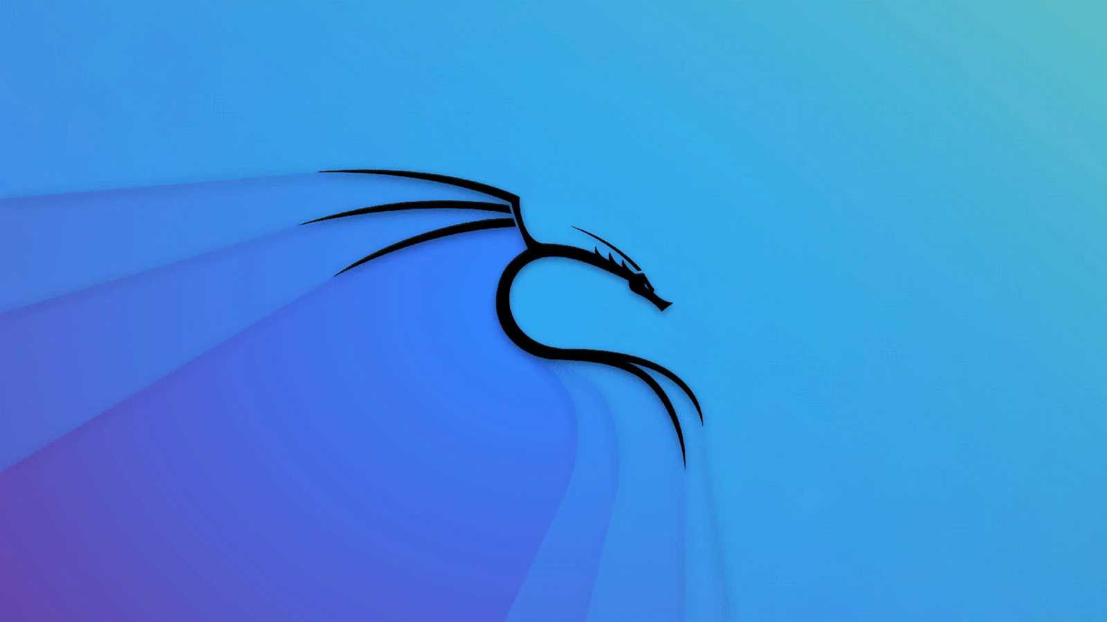Blue Kali Linux Wallpaper 1