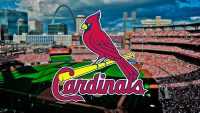 Download St. Louis Cardinals Wallpaper 3
