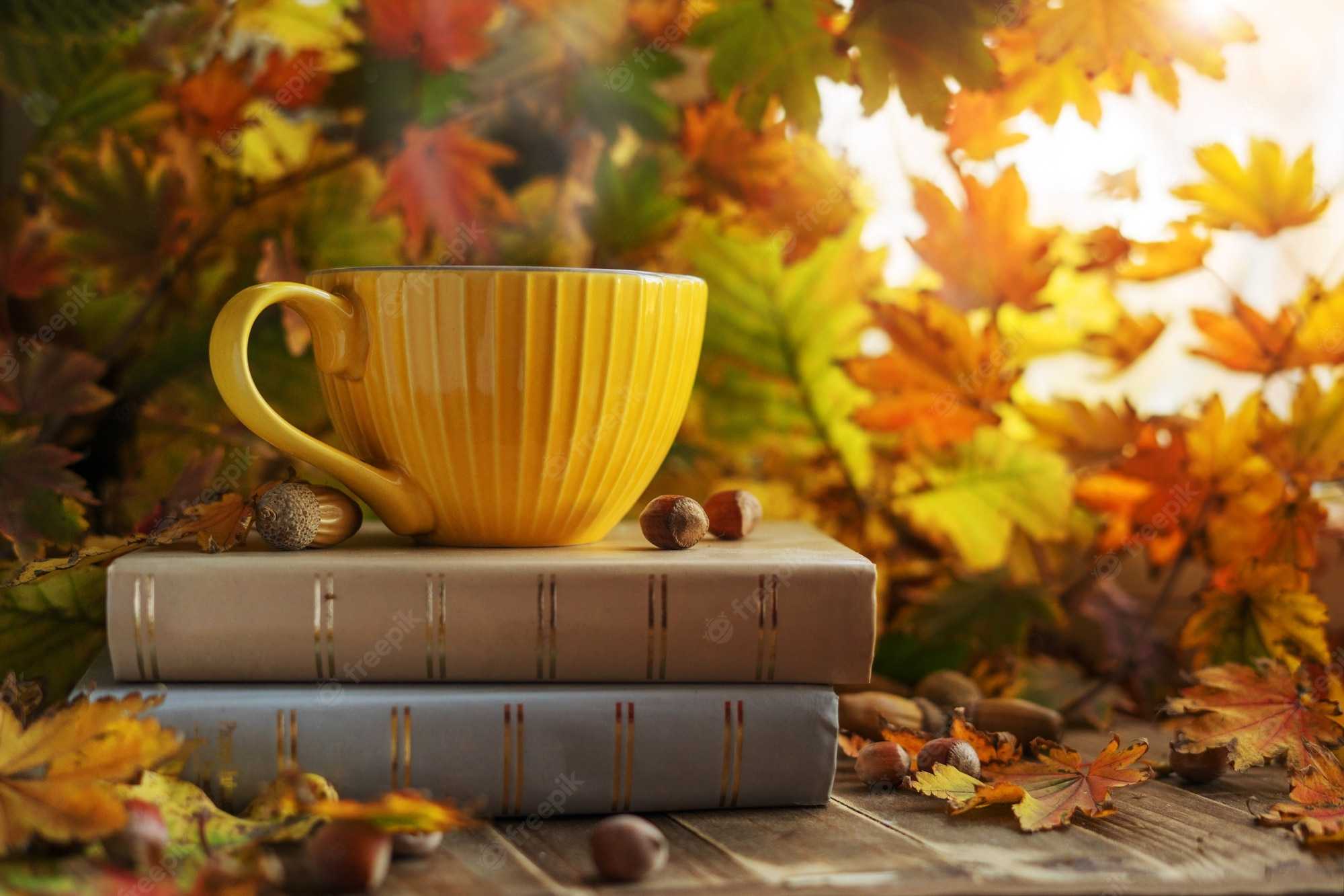 4k Cozy Autumn Aesthetic Wallpaper 1 4k Cozy Autumn Aesthetic Wallpaper 1