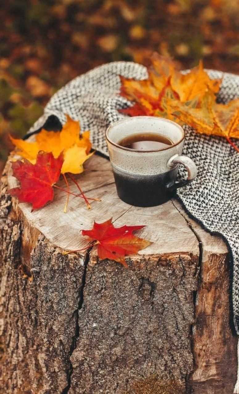 Hd Cozy Autumn Aesthetic Wallpaper 1 Hd Cozy Autumn Aesthetic Wallpaper 1