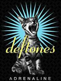 Cat Deftones Wallpaper 46