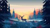 4k Deer Wallpaper 4